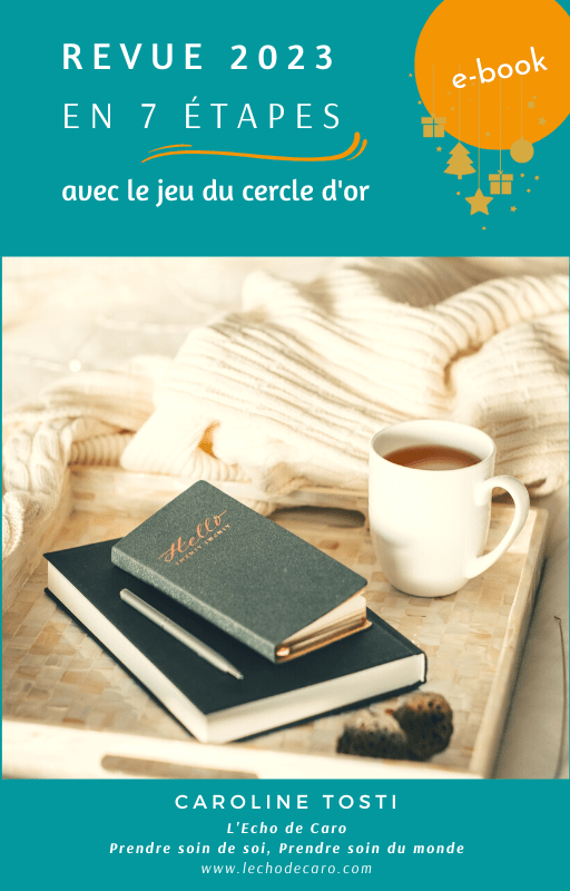 Revue 2023 en 7 étapes