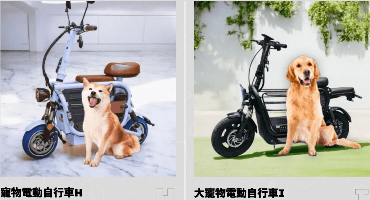 季節限定踏雪尋梅～風櫃斗賞梅王.最美日月潭環湖電動自行車.超CHILL陌野露營車2日