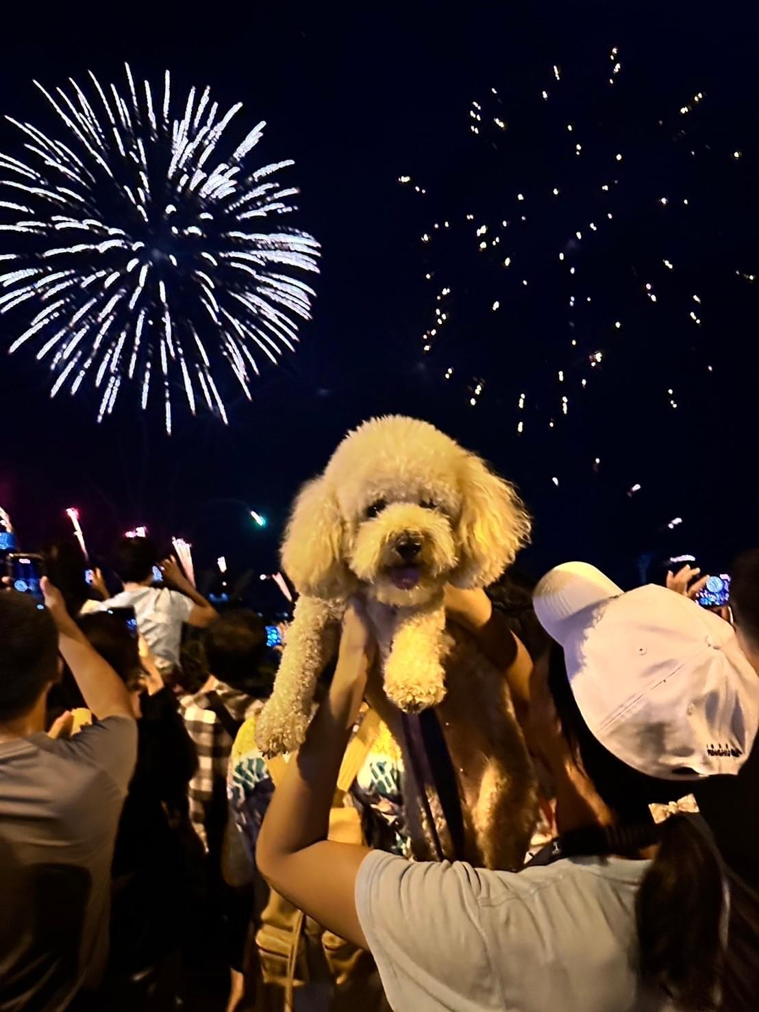 史奴比75週年 x 澎湖花火節～小百岳蛇頭山.夕陽美食遊艇派對花火包船.豪華海鮮饗宴3日