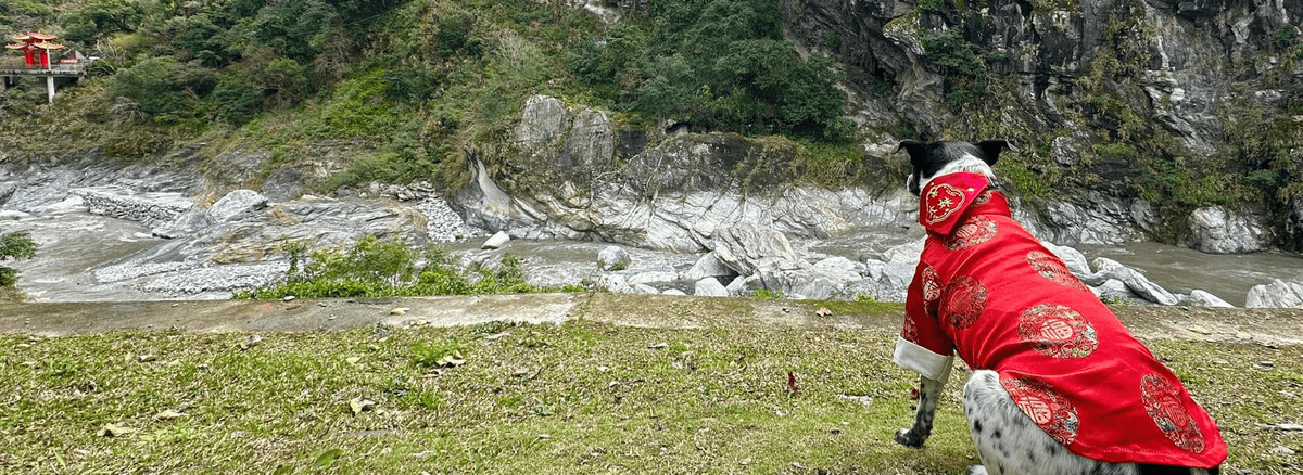 久違了，擁抱太魯閣！極緻尊榮五星太魯閣晶英酒店深度慢遊一泊二食.台泥生態園區2日