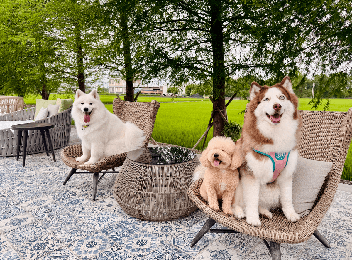 【精緻小團】宜蘭五星好評質感奢華泳池VILLA包棟！白宮櫻桃鴨.行運茶餐.無所時時2日