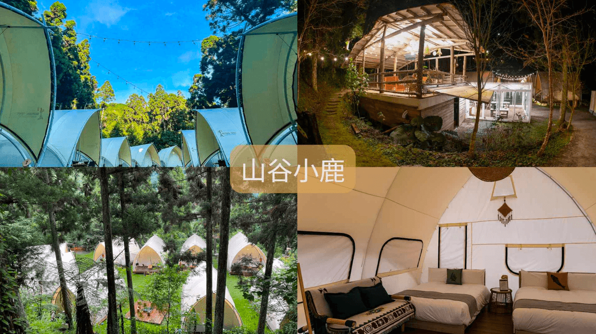 季節限定泰雅櫻花季！新竹秘境超好評蟬說霧繞豪華露營包區賞櫻.雲海上的部落餐桌2日