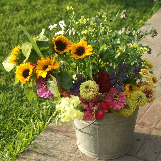 u-pick flowers butler Pennsylvania u-pick flowers butler Pennsylvania