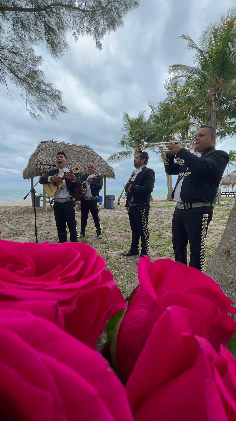 We offer unique and personalized serenades for every occasion, ensuring that each melody resonates with the heart of your loved ones. Personalized Serenades What we offer 🎺 The best mariachi in Miami  🎶 Serenades | Weddings | Events  📍 Hialeah • Doral • Kendall  📞 786-832-5135