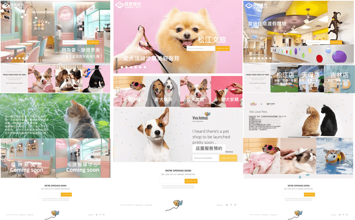 寵物網站與設計