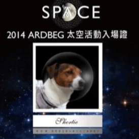 台灣Ardbeg粉絲團  泥煤威士忌