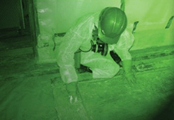 Historical preservation, asbestos, lead, mold remediation.