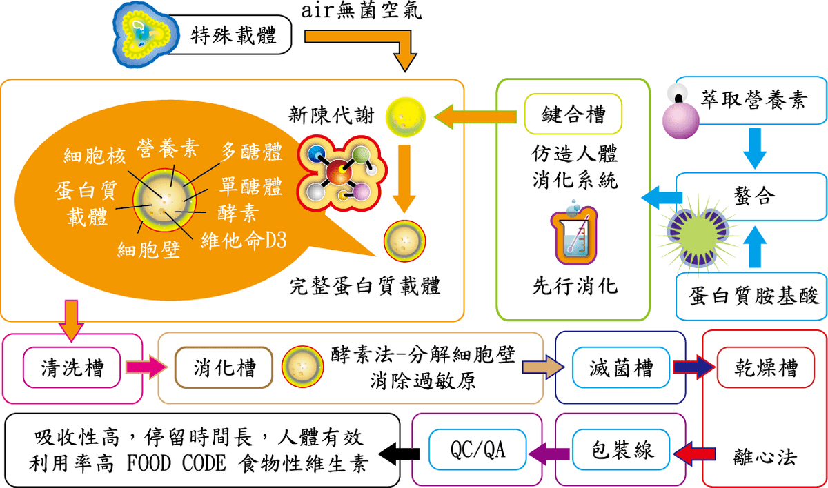 食物型態酵母維他命,維生素,維他命,礦物質,營養素,天然酵母,保健,健康,營養品,營養補充,營養補給,食物型營養素,食物型維生素,兒童營養