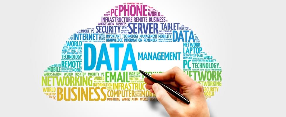 Full-Stack Web Development - Database Management-Module 3