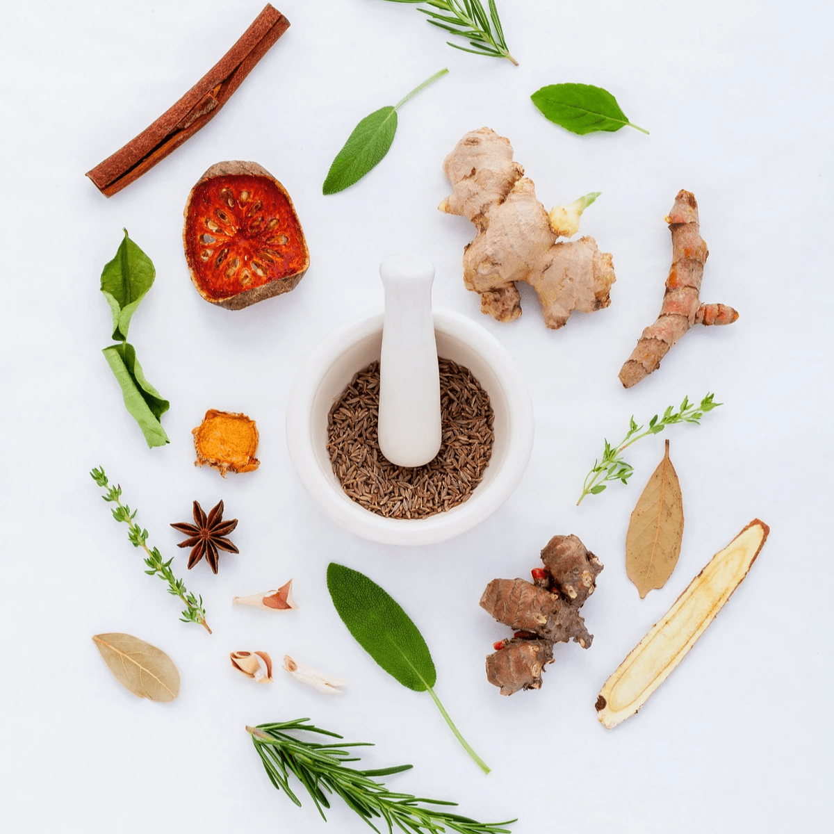 jardin-forêt-objectifs-7