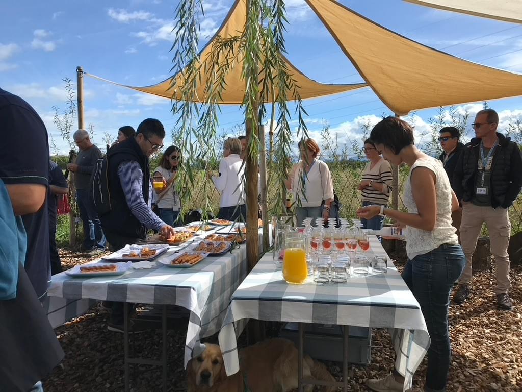 Sortie d'entreprise, team building, teambuilding