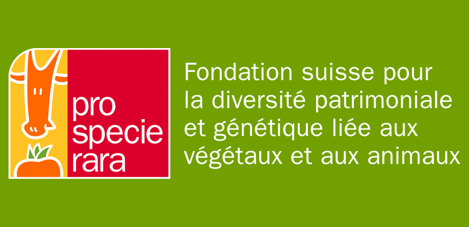 variétés anciennes, conservatoire génétique