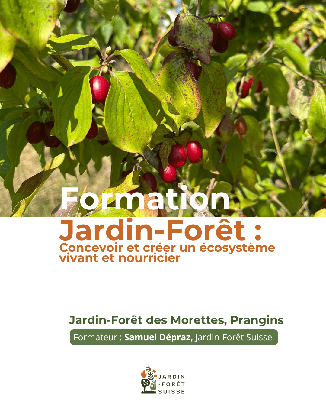 Formation aux techniques des jardins-forêts, pour tous