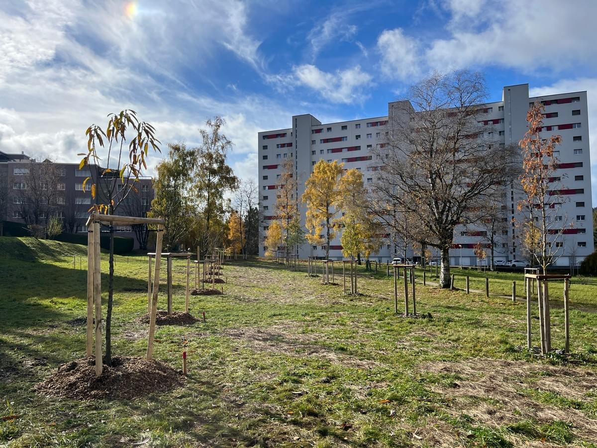 jardin-forêt de Chaux-de-Fonds, Parc du Paddock, jardin du Mycélium, Florian Candelieri.