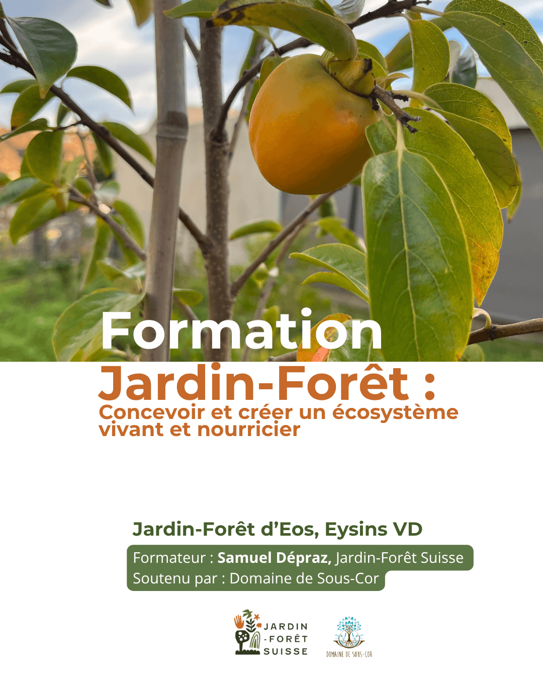 Formation aux techniques des jardins-forêts, pour tous