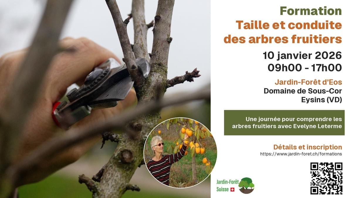 introduction aux jardins-forêts 