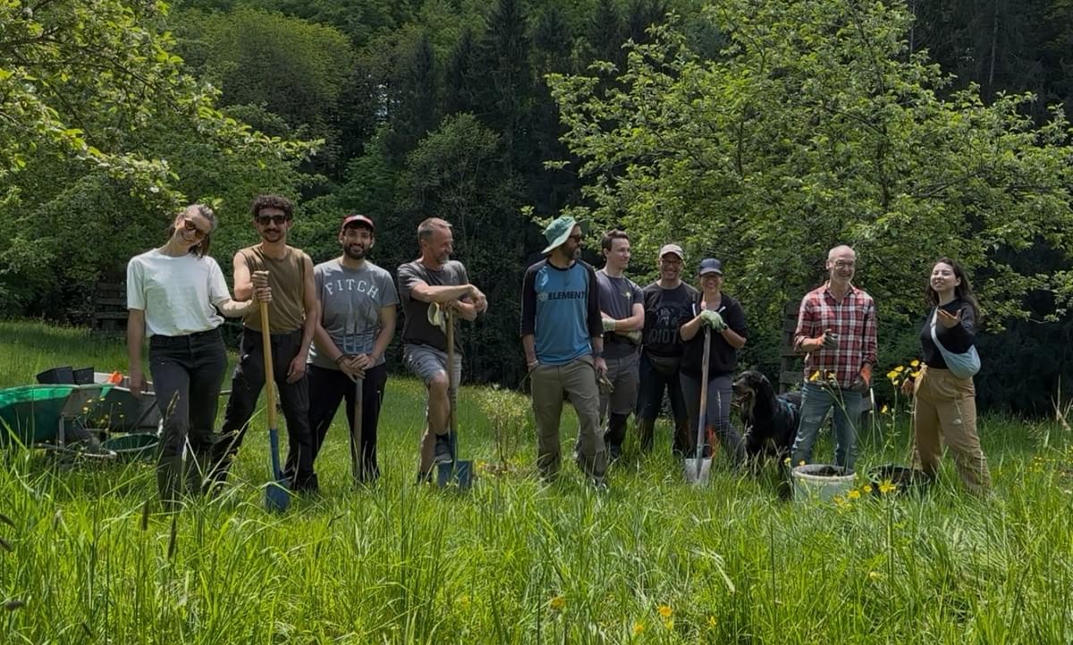 Logo de graines de nature
