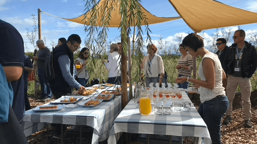 Sortie d'entreprise, team building, teambuilding, event, venue