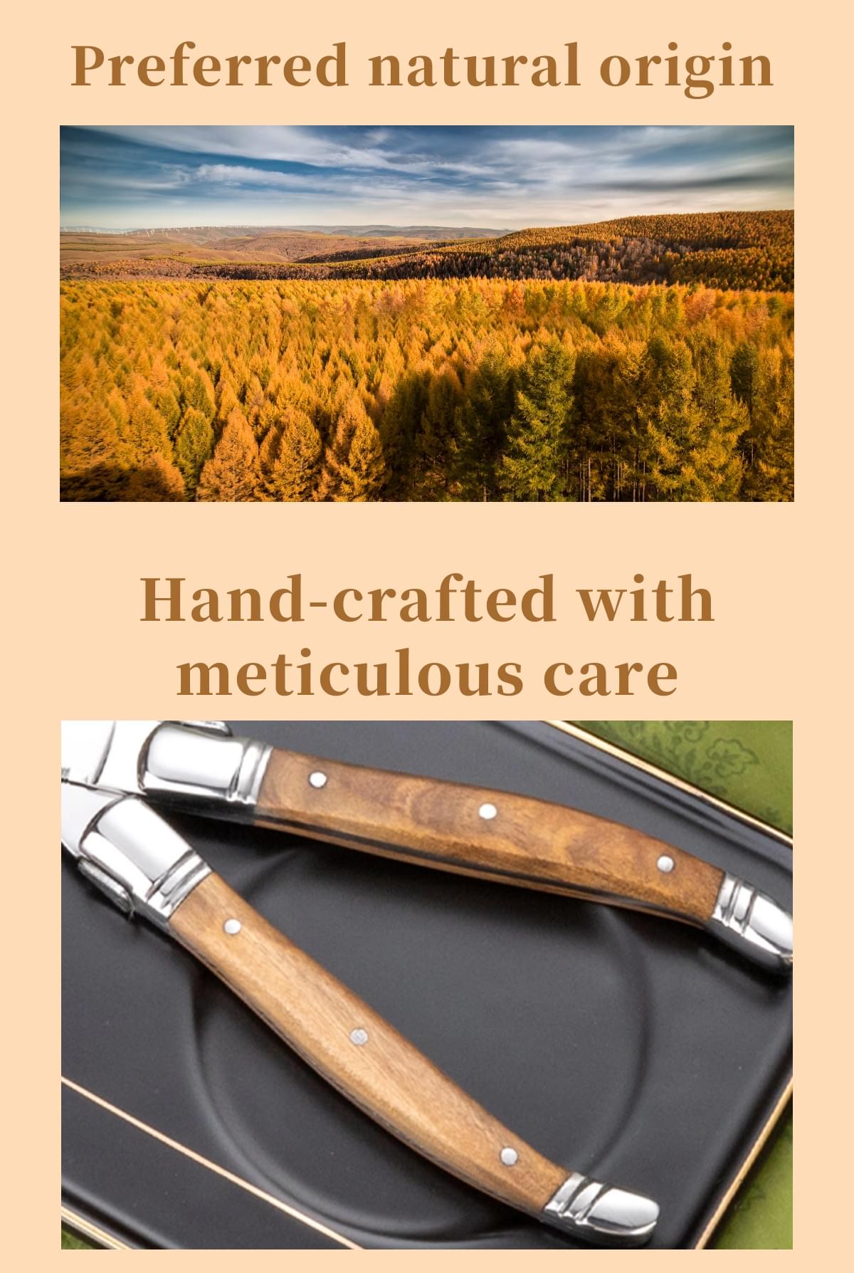 Cutlery with olive wooden handle-classic