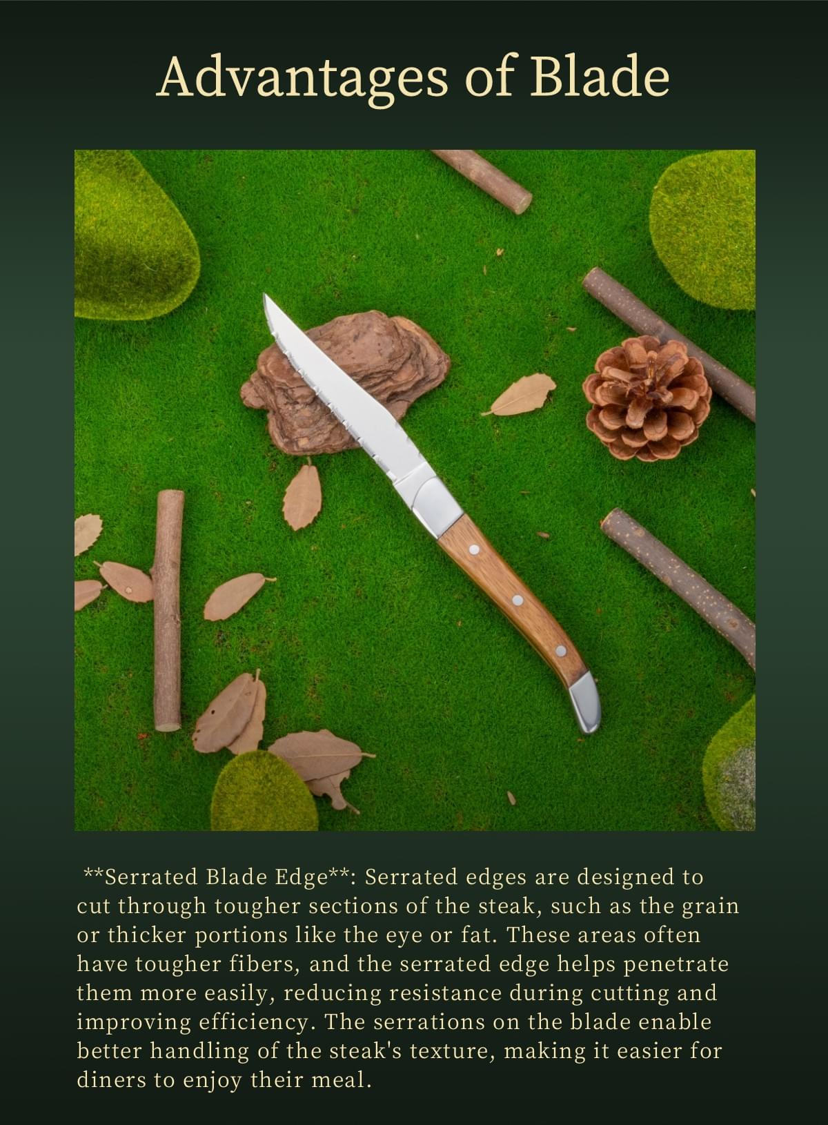 Cutlery-Modest 1 pro