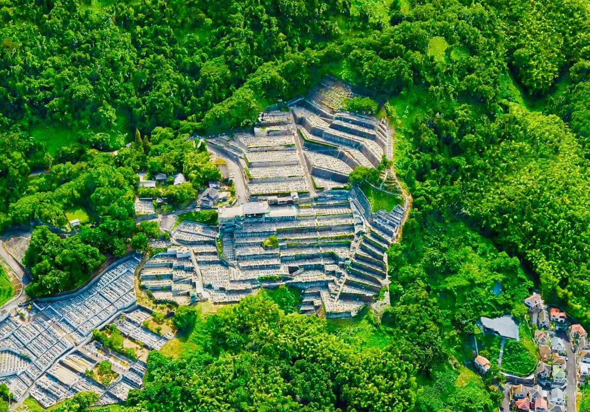 Section image