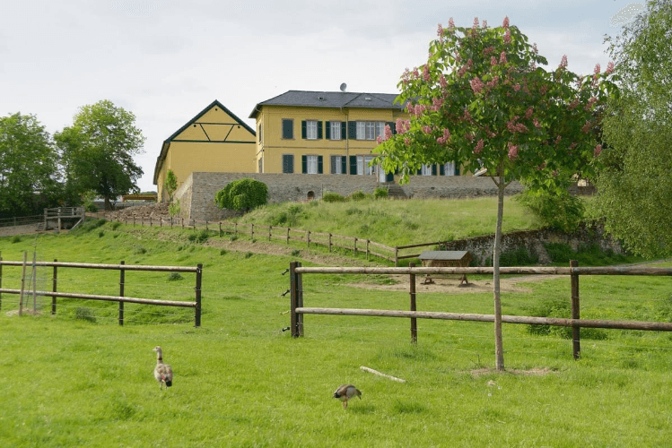 Kampfkunst Wiesbaden Selbstverteidigung