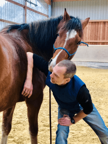 Senmotic Produkte für Reiter und Gesundheit