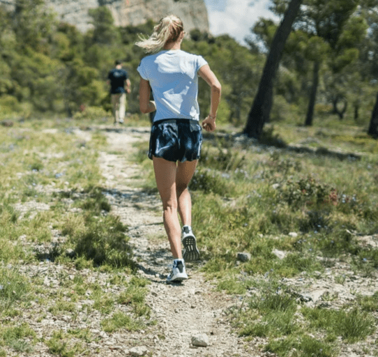 Coastal wildlife sightings: sharks, whales, dolphins, seals, penguins.