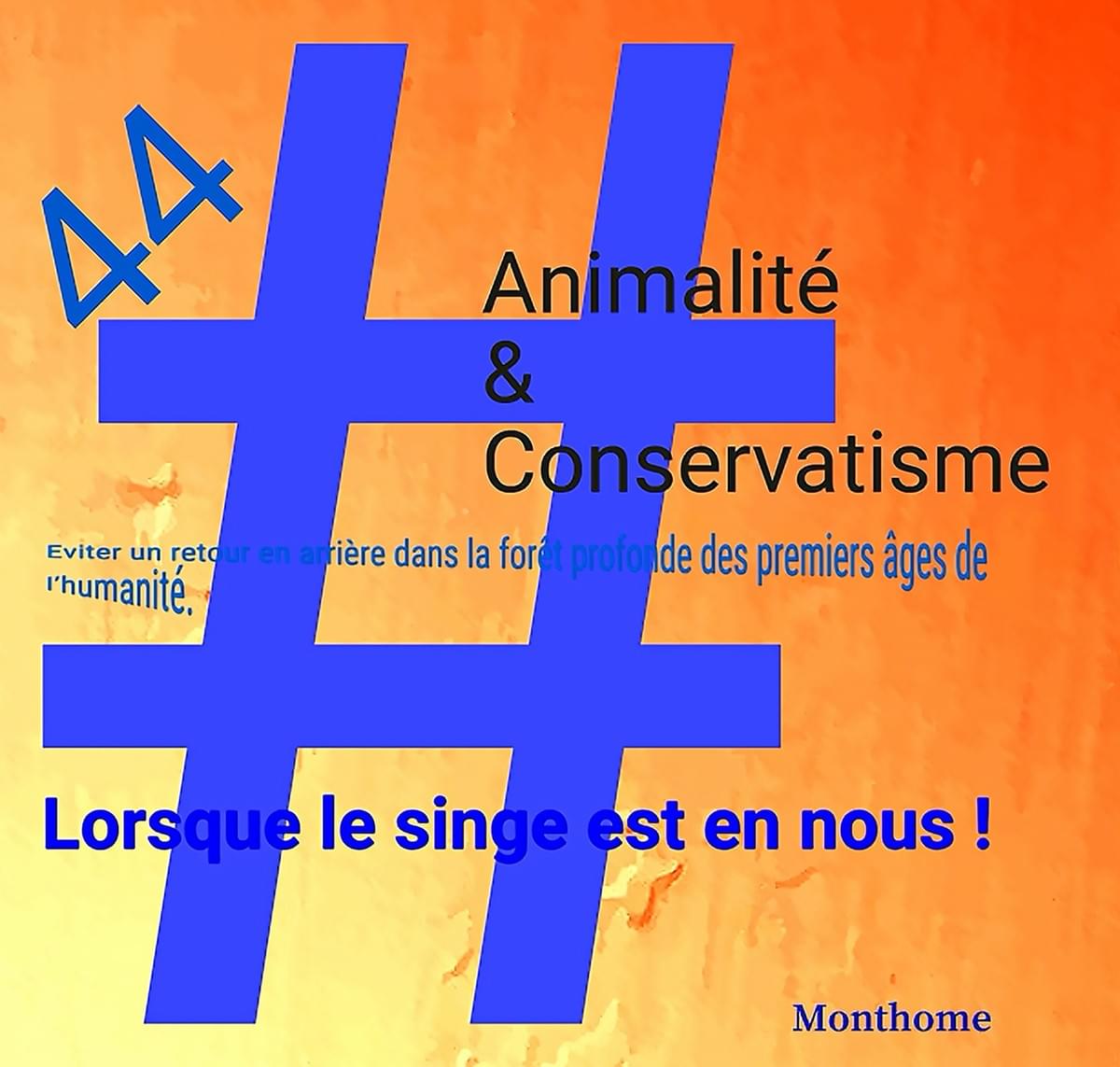 10 toiles Collection Orange