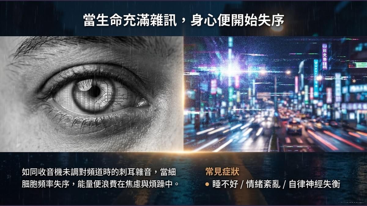 腦頻導引機