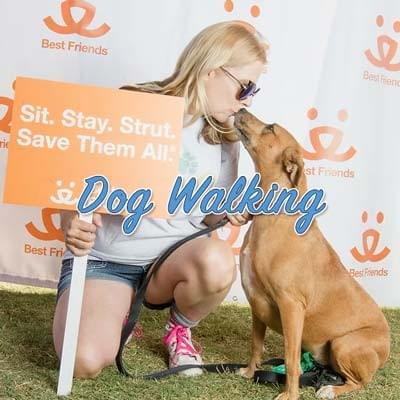 Dog Walking Services