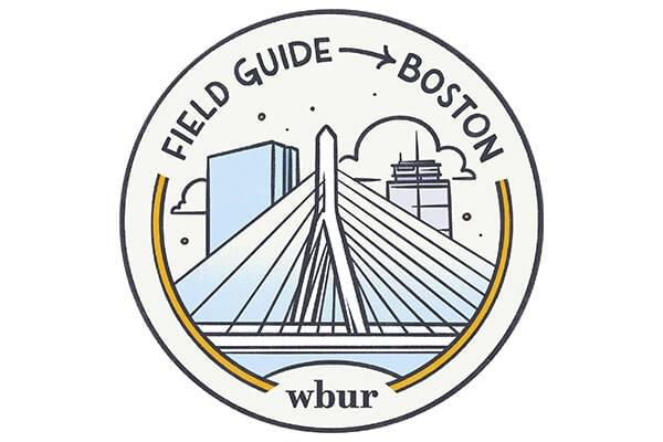 Field Guide to Boston stamp