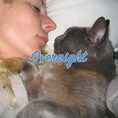 Special Pet Services