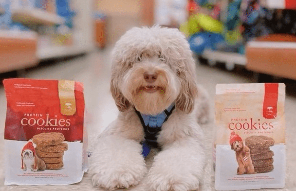 Fresh Food Friday Caledon Farms Treats