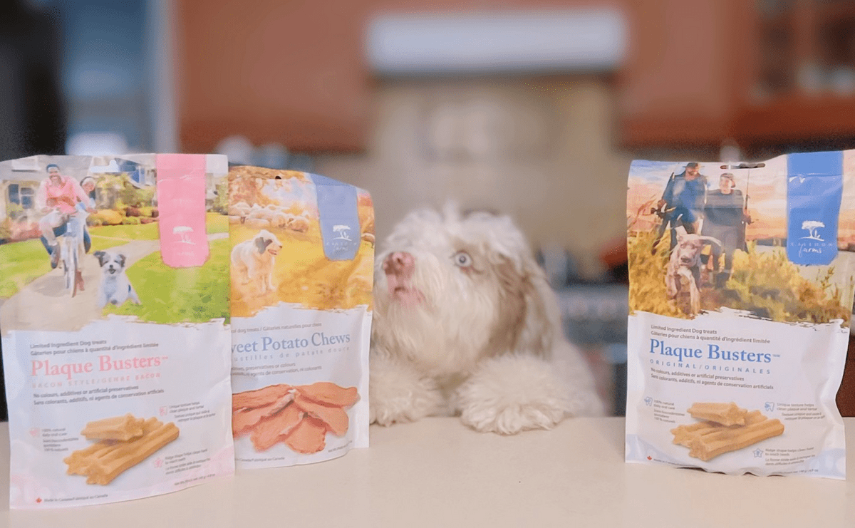 Fresh Food Friday Caledon Farms Treats