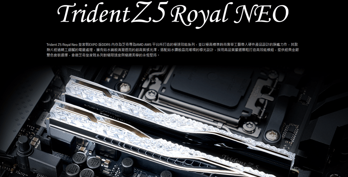 芝奇 皇家戟RGB 32G (雙通16GB*2)D5-6000 C28銀 (F5-6000J2836G16GX2-TR5NS)EXPO