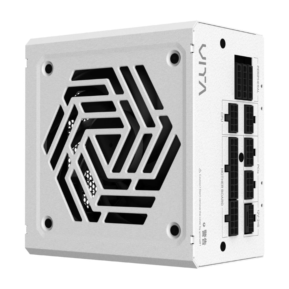 【全漢FSP】VITA GM 750/850/1000W ATX3.1 雙金牌全模組電源 黑/白 (扁線材/低噪認證)