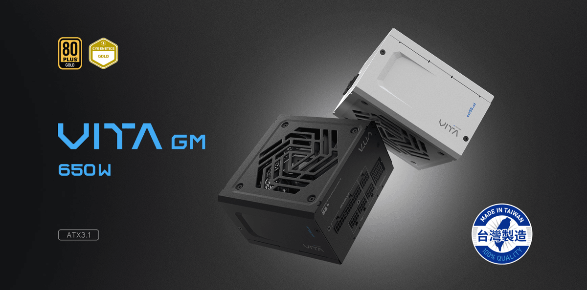 【全漢FSP】VITA GM MIT 650W ATX3.1 雙金牌全模組電源 (台灣製造/扁線材/A+低噪認證)