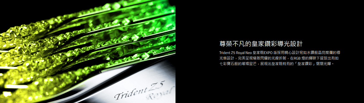 芝奇 皇家戟RGB 32G (雙通16GB*2)D5-6000 C28銀 (F5-6000J2836G16GX2-TR5NS)EXPO