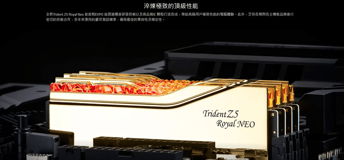芝奇 皇家戟RGB 32G (雙通16GB*2)D5-6000 C28銀 (F5-6000J2836G16GX2-TR5NS)EXPO
