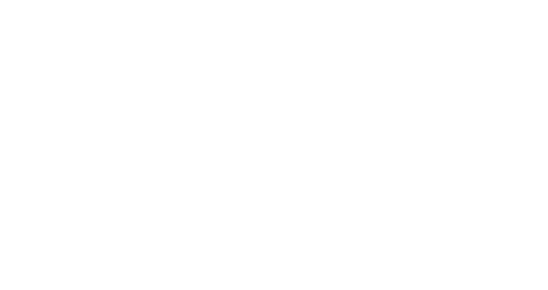 Salva