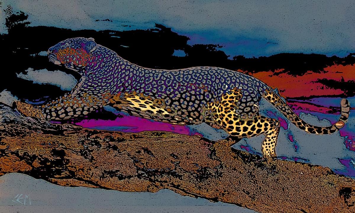 LEOPARD SKY