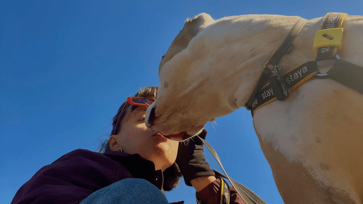 當心愛的毛孩離世，身為家人的我們除了悲傷，更希望能為祂們安排一場圓滿的畢業典禮。在搜尋桃園寵物火化ptt或寵物殯葬桃園相關資訊時，您可能會被繁雜的資訊淹沒。