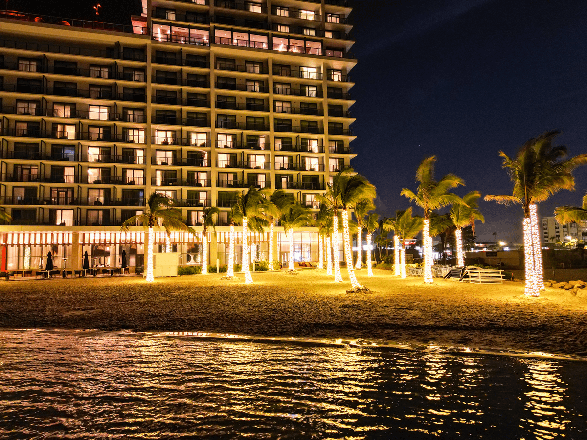 The Magic of Palm Tree Lighting: Creating a Tropical Holiday Atmosphere in Tampa