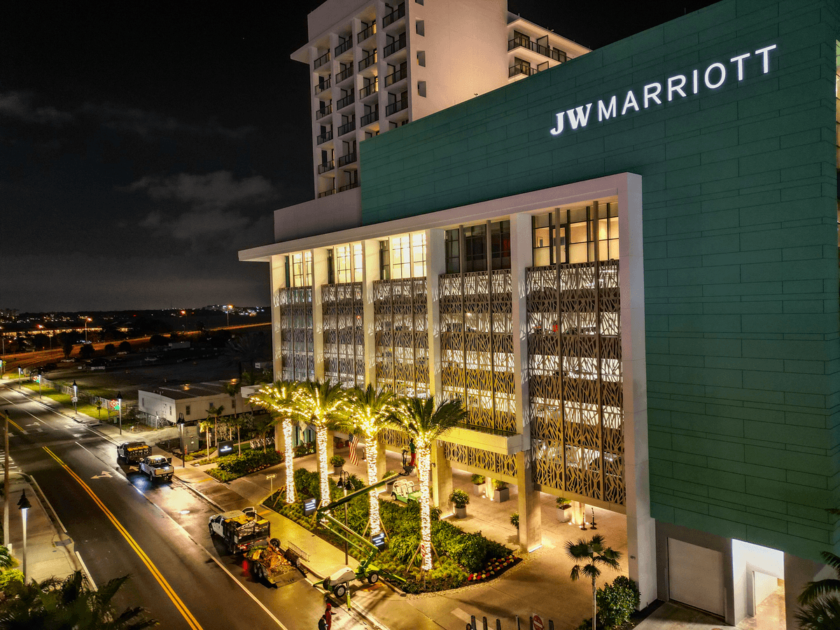 Why Hire a Professional Holiday Lighting Company in Tampa?