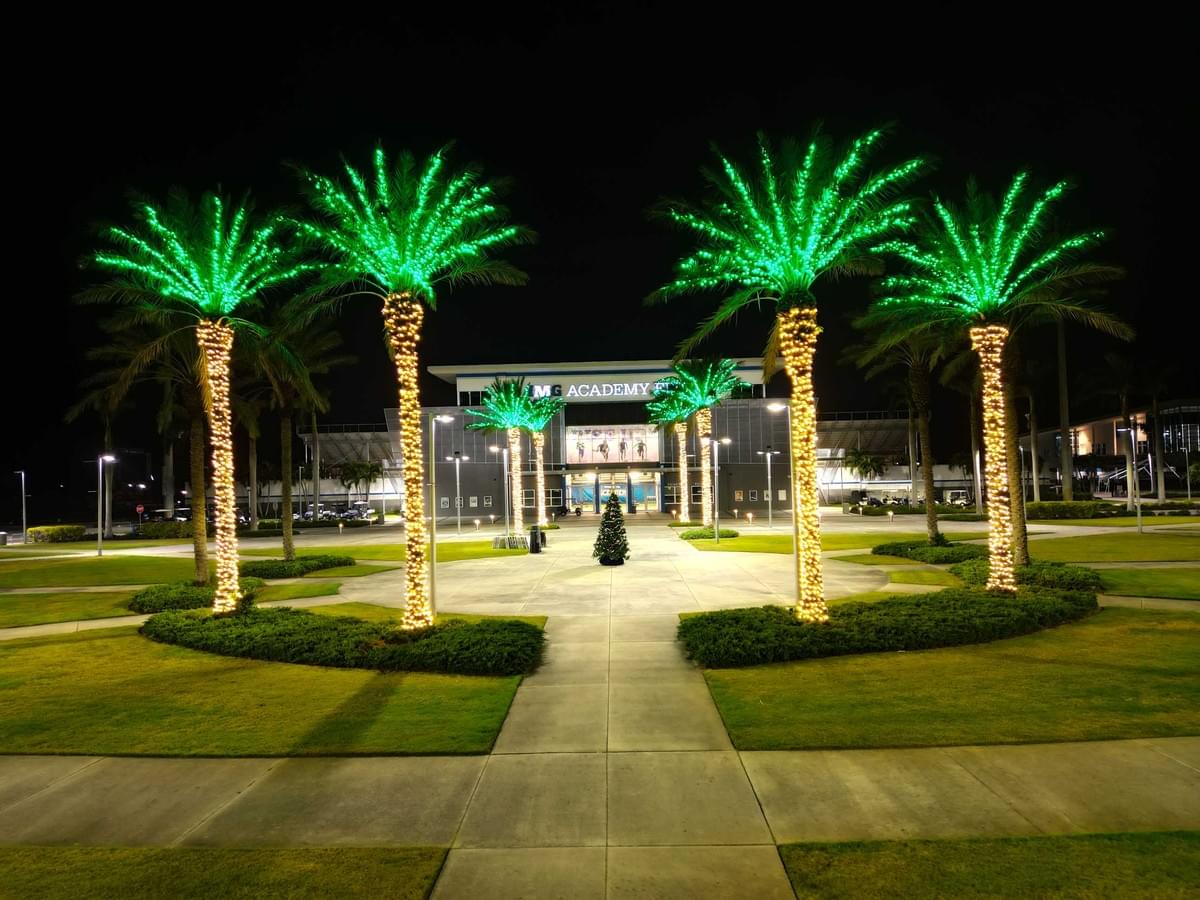 Lighting Up IMG Academy: EO’s Festive Palm Tree Transformation