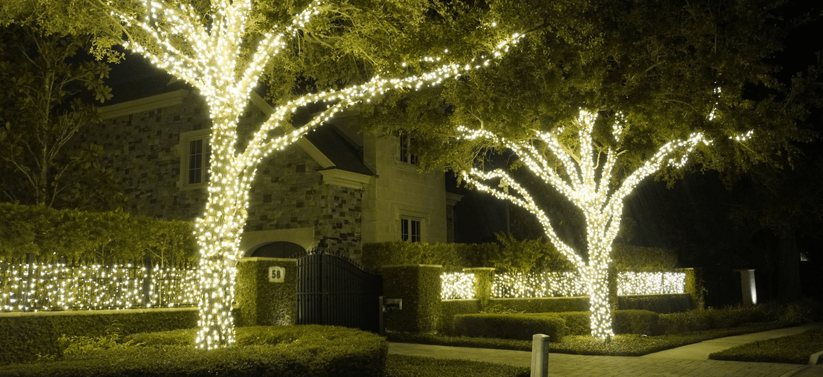 Creating a Warm Welcome: Holiday Lighting Ideas for Entrances and Driveways