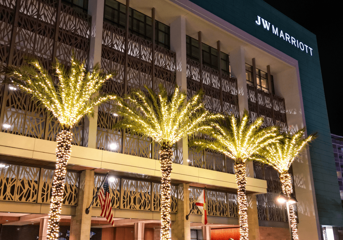 The Magic of Tree Lighting: How to Make Your Yard Shine for the Holidays