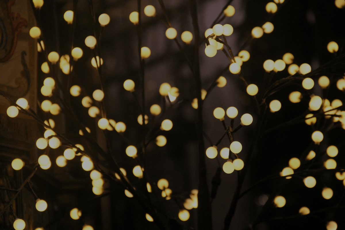 Reasons You Should Hire a Professional to Install Your Holiday Decorations