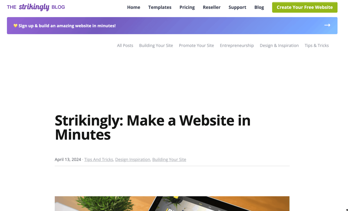 Zdjęcie pochodzi ze strony Strikingly